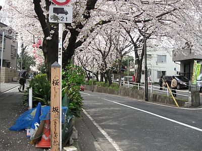 桜坂3.jpg